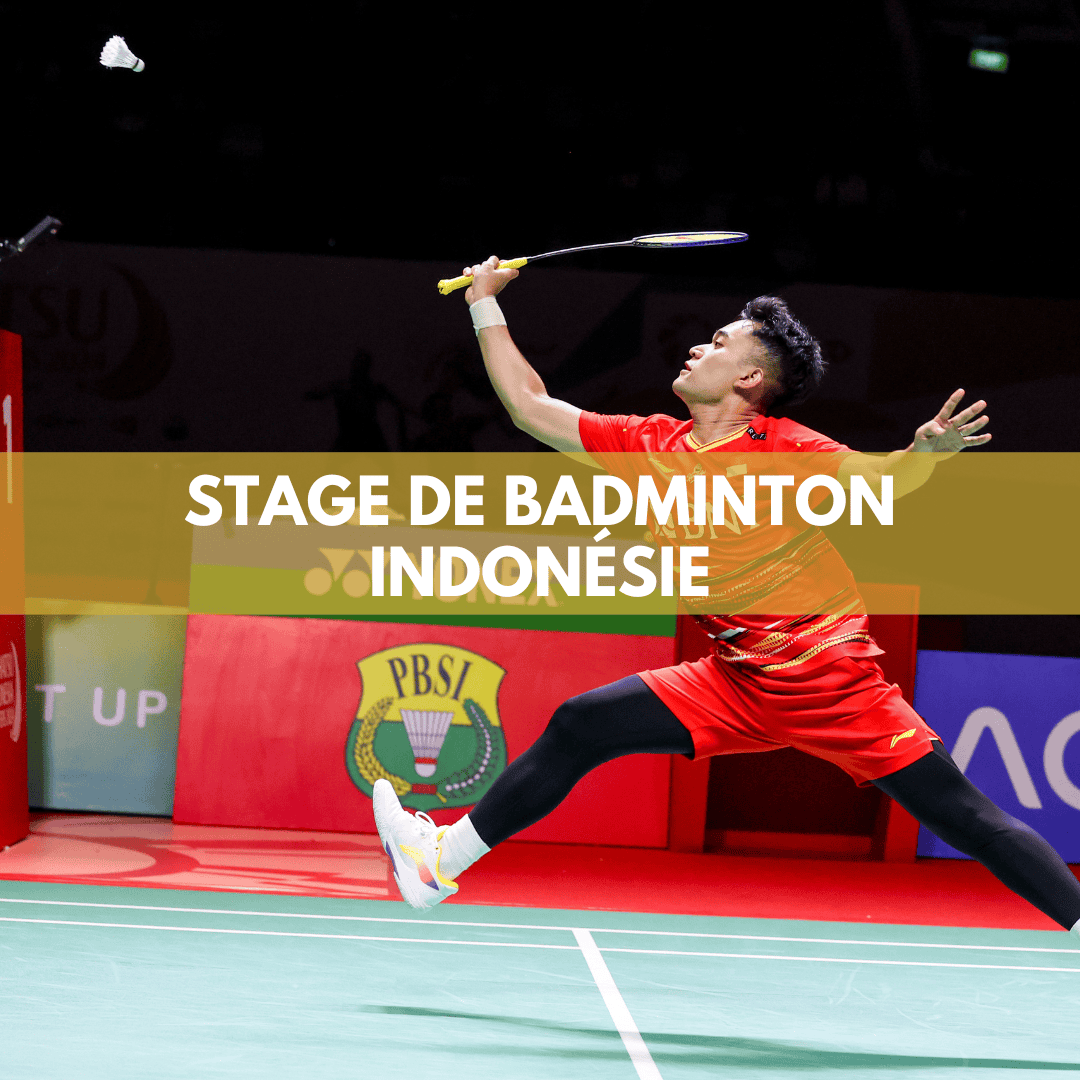 image stage indonésie